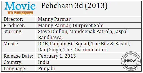 Pehchaan 3D (2013)
