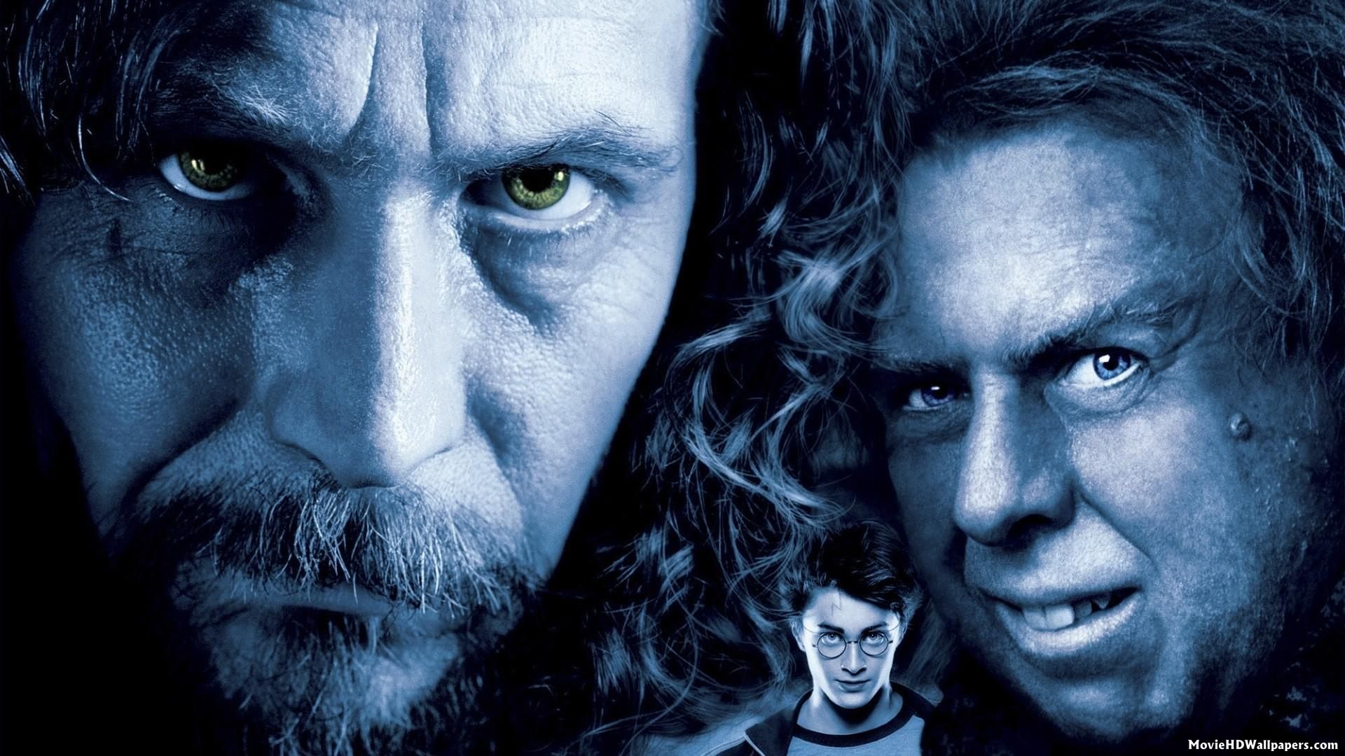 harry potter and the prisoner of azkaban essay harry potter and the prisoner of azkaban essay