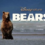 Bears 2014 Disney Movie Wallpapers