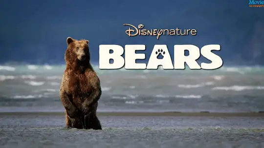 Bears 2014 Disney Movie Wallpapers