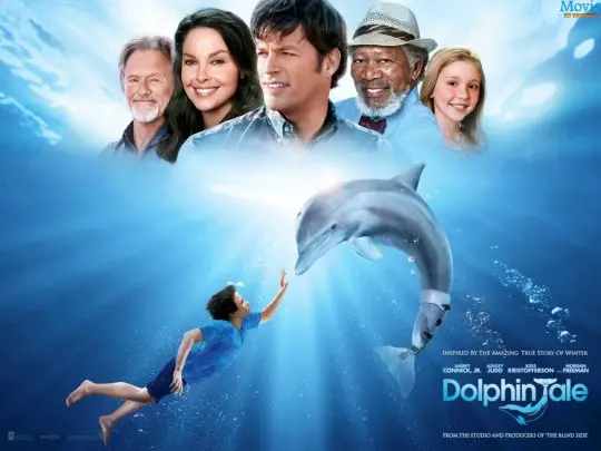 Dolphin Tale 2 Poster
