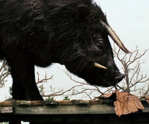 Beasts of the Southern Wild (2012) Images