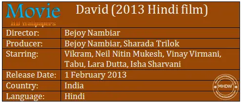 David (2013) Hindi Movie