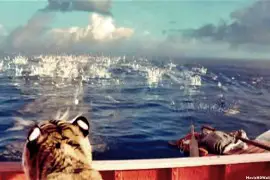 Life of Pi Images