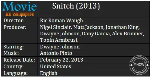 Snitch (2013) Cast