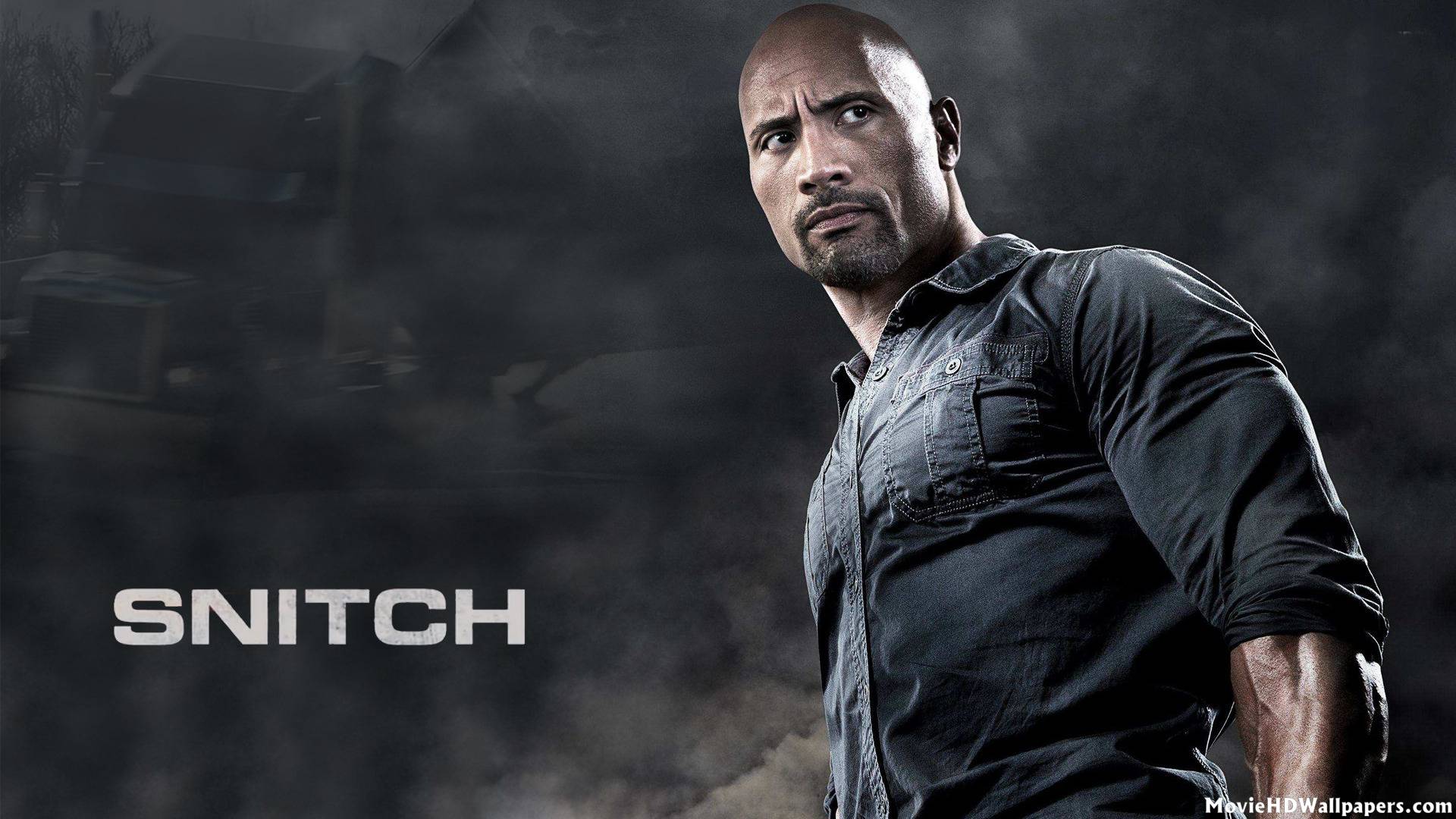 Snitch (2013) Photos