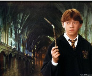 Harry Potter and the Chamber of Secrets