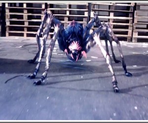 Spiders 3D (2013) Movie HD Images