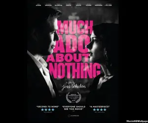 Much Ado About Nothing (2013) Poster