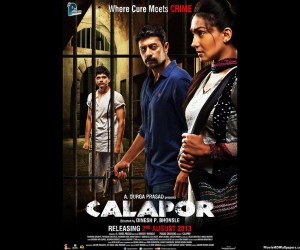 Calapor 2013