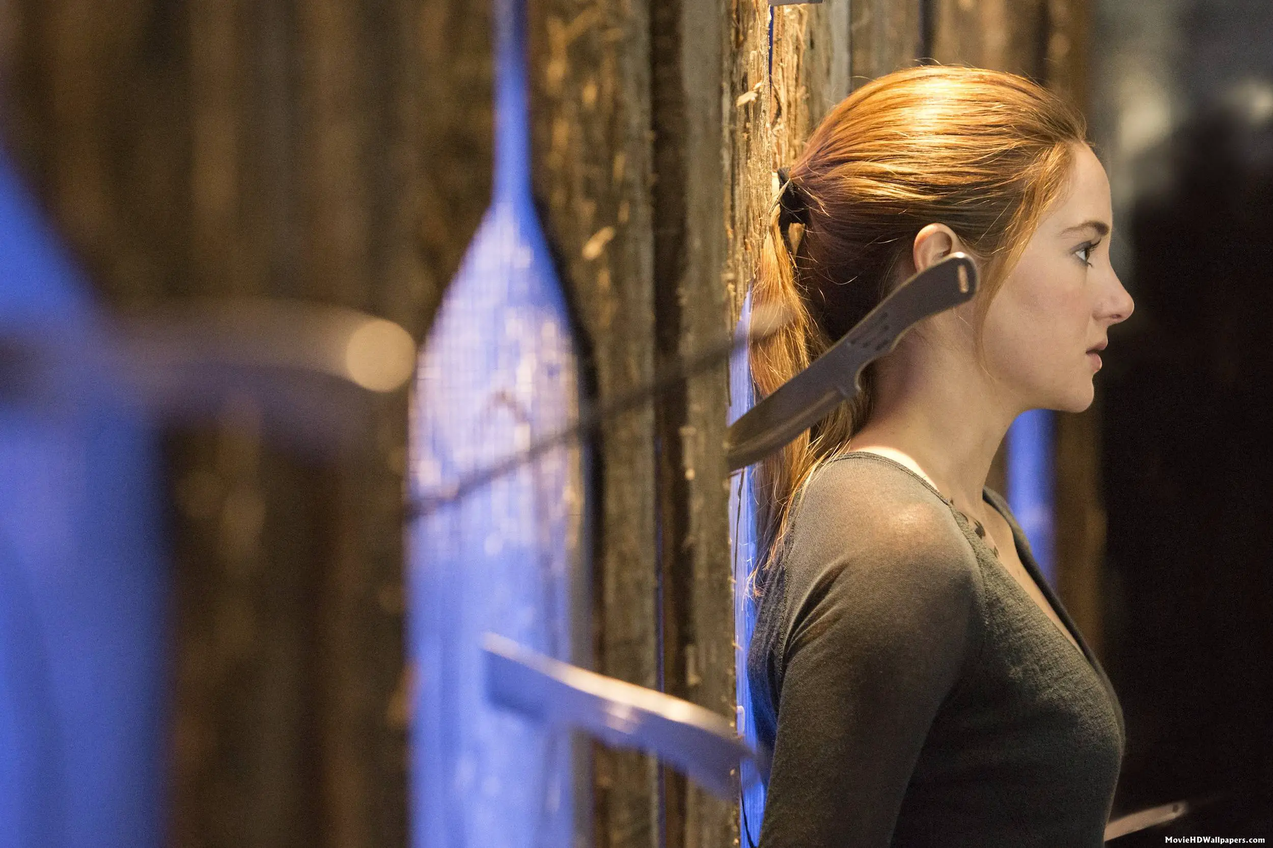 Divergent 2014 – Movie HD Wallpapers