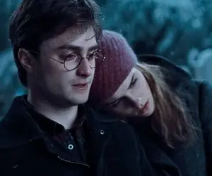 Harry Potter and the Deathly Hallows Part 1 - Harry and Hermione