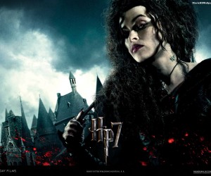 Harry Potter and the Deathly Hallows Part 1 Poster