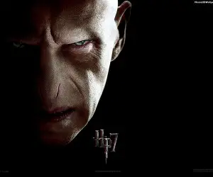 Harry Potter and the Deathly Hallows Part 1 - Voldermort