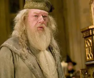 Harry Potter and the Goblet of Fire Dumbledor