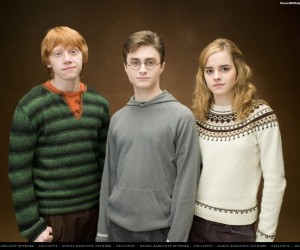 Harry Ron and Hermione in Order of the Phoenix