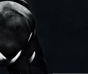 Blackfish (2013) Wallpapers