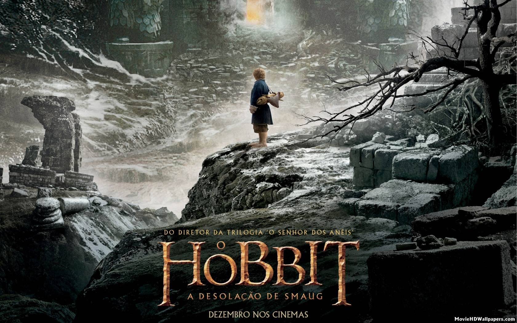 The Hobbit The Desolation of Smaug