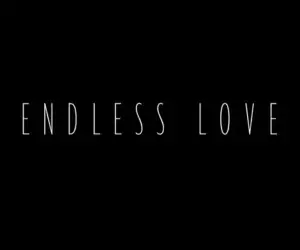 Endless Love (2014) Movie Logo