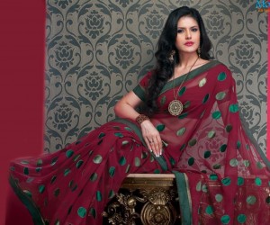 Jatt James Bond (2014) - Zarine Khan in Saree