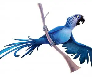 Rio 2 Blue Parrot