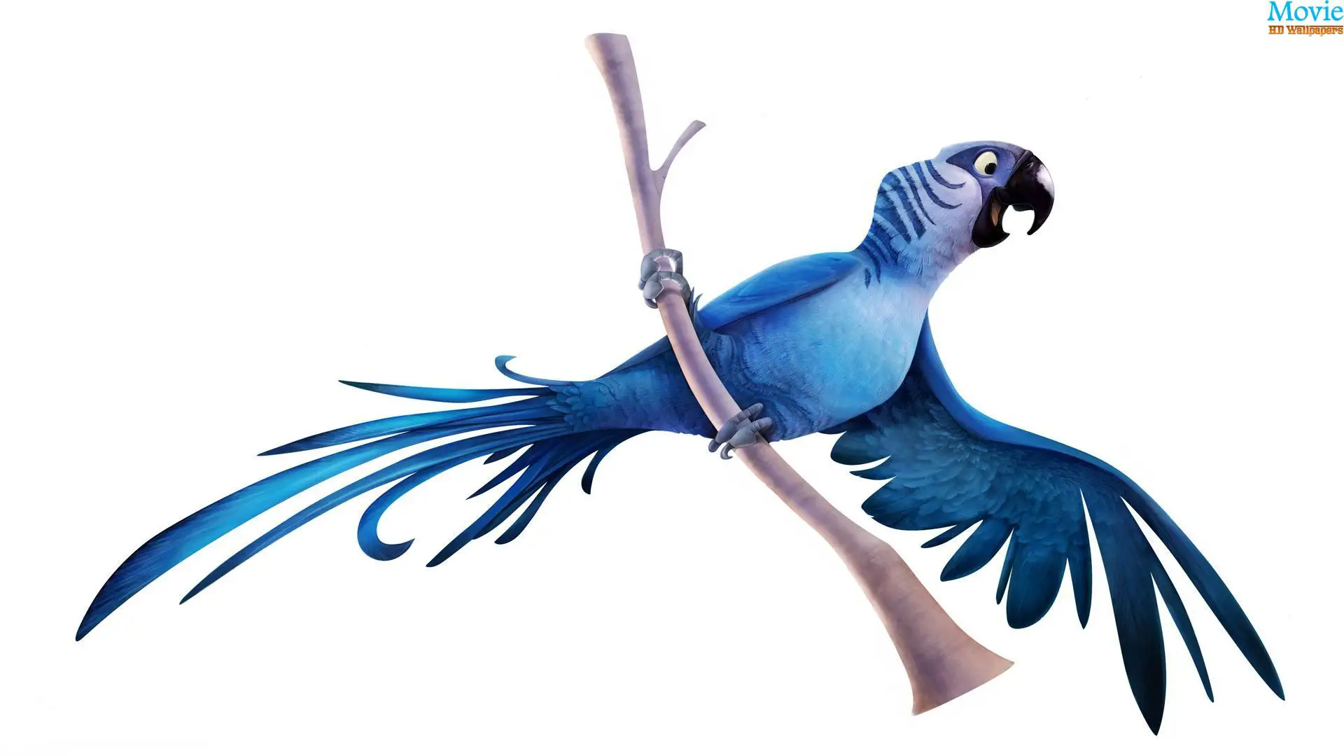 Рио синий попугай мультик скачать