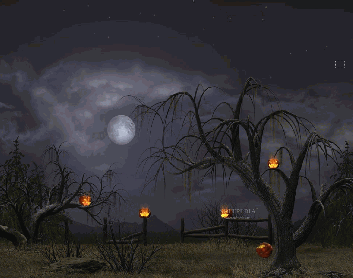 Halloween HD Wallpapers