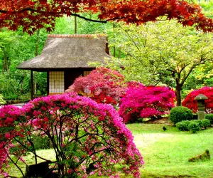 Beautiful Garden HD Wallpapers