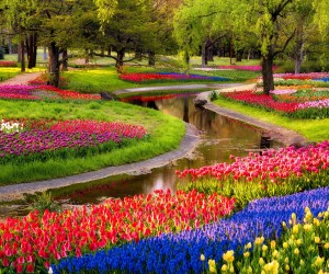 Beautiful Garden HD Wallpapers