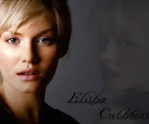 Elisha Cuthbert HD Wallpapers