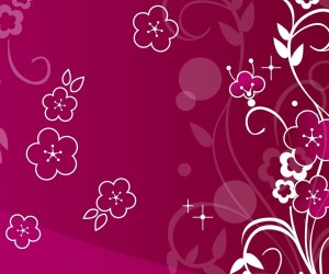 Floral Vector HD Wallpapers