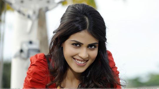 Genelia D'Souza HD Wallpapers