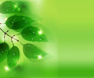 Green Vector HD Wallpapers