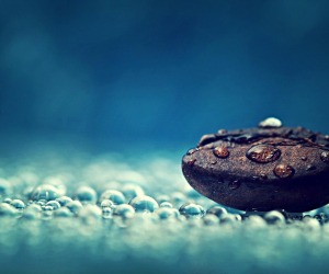 HD Wallpapers