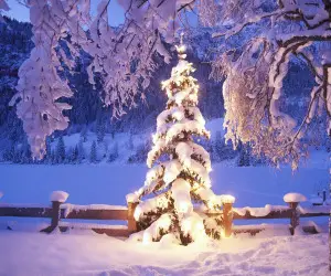 Christmas Snow Wallpapers