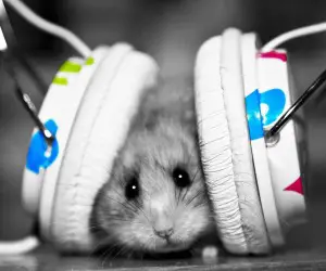 Headphones HD Wallpapers