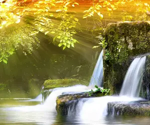 Nature Wallpapers 2014