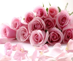 Pink Flowers Wallpapers