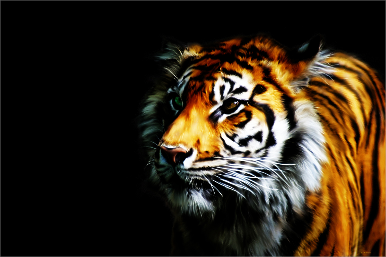 Tiger Wallpapers - Movie HD Wallpapers