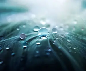 Water Drops HD Wallpapers