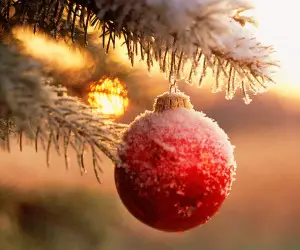 Christmas Ornaments Wallpapers