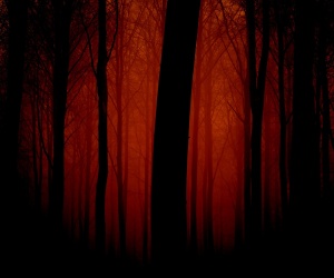 Dark Red HD Wallpapers