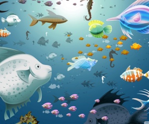 Fish HD Wallpapers