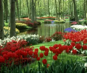 Beautiful Garden HD Wallpapers