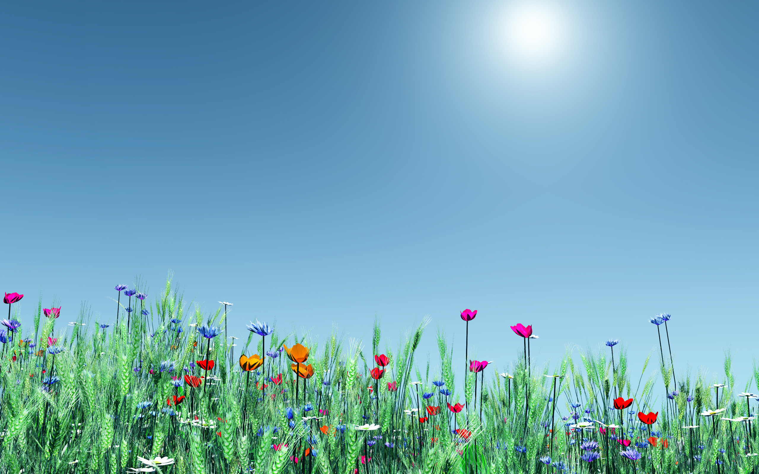 Flower Meadow Wallpapers