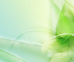 Green Vector HD Wallpapers