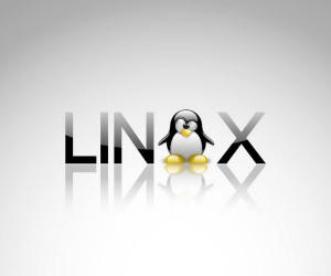 Linux Wallpapers