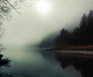 Mist HD Wallpapers