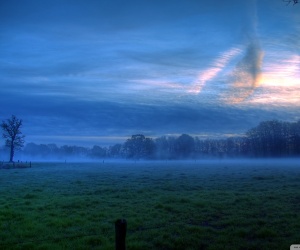 Mist HD Wallpapers