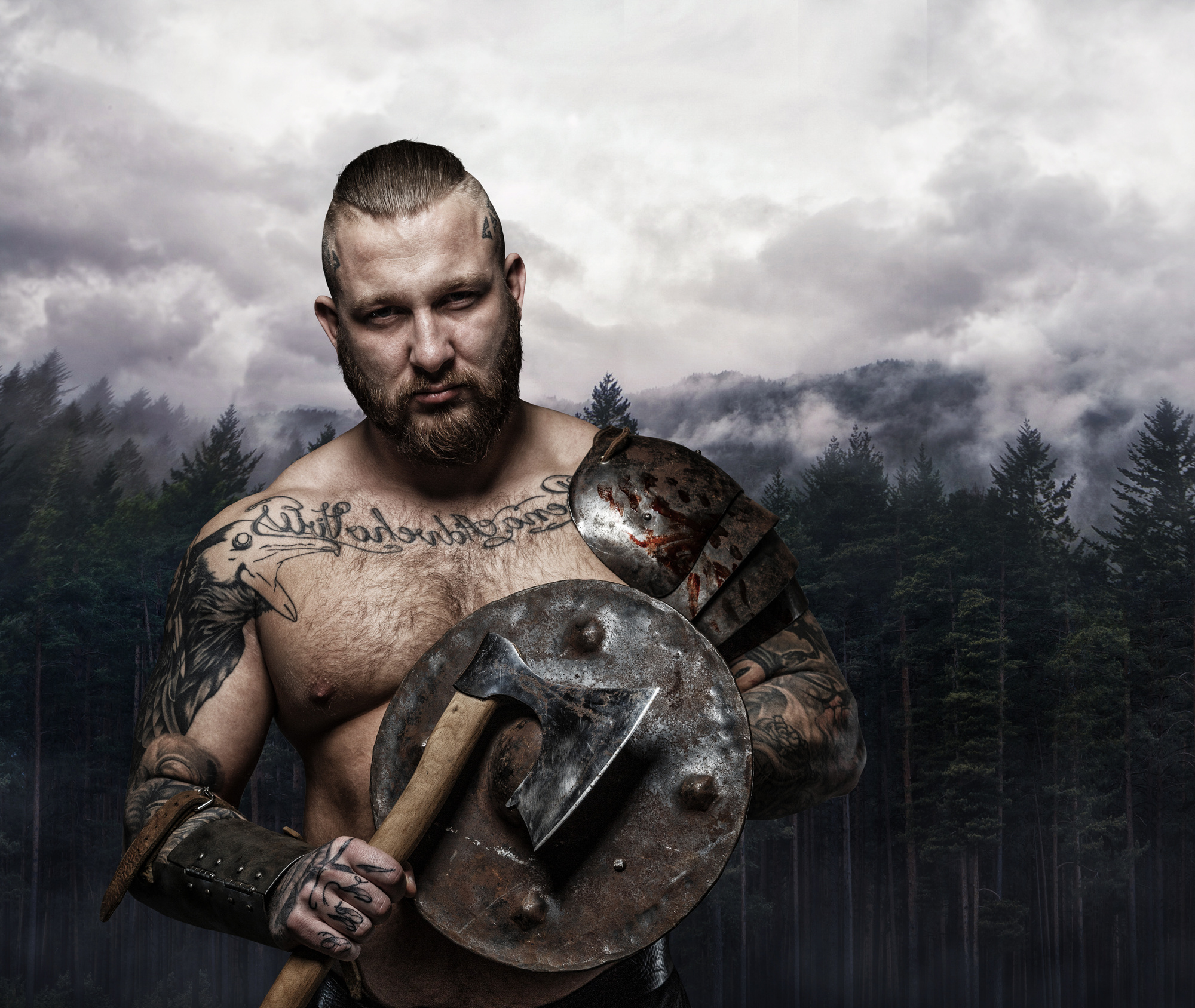 download free the last viking